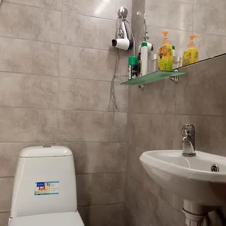 Near Rynok Square Daire Lviv